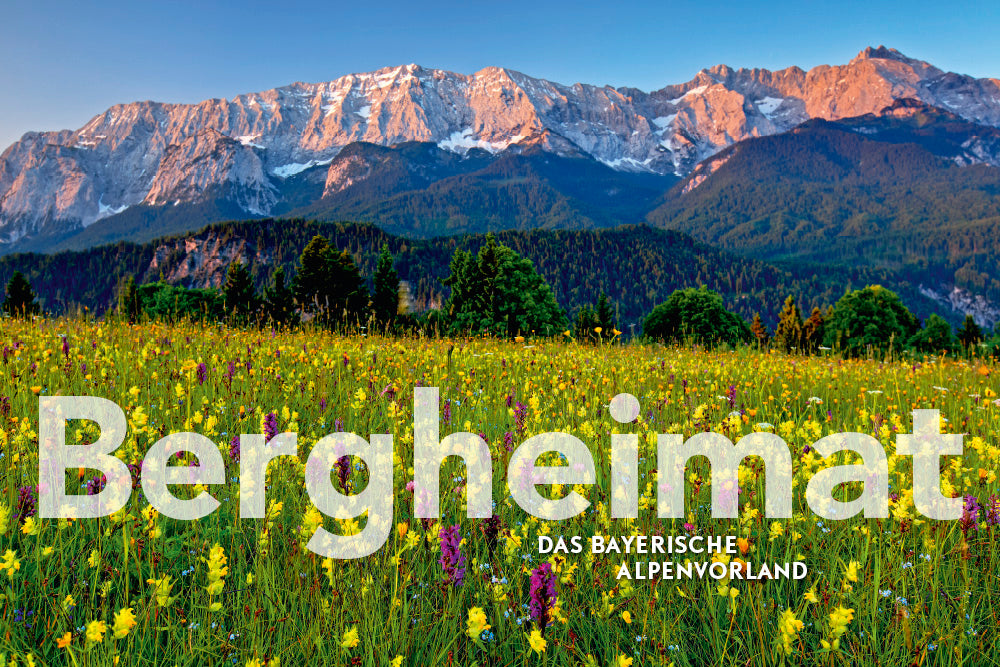 terra 3/2020 - Bild 8