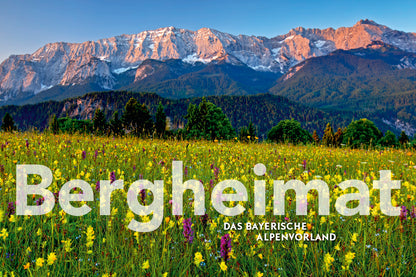 terra 3/2020 - Bild 8