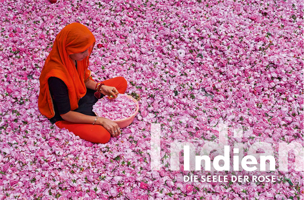 terra 3/2020 - Bild 3