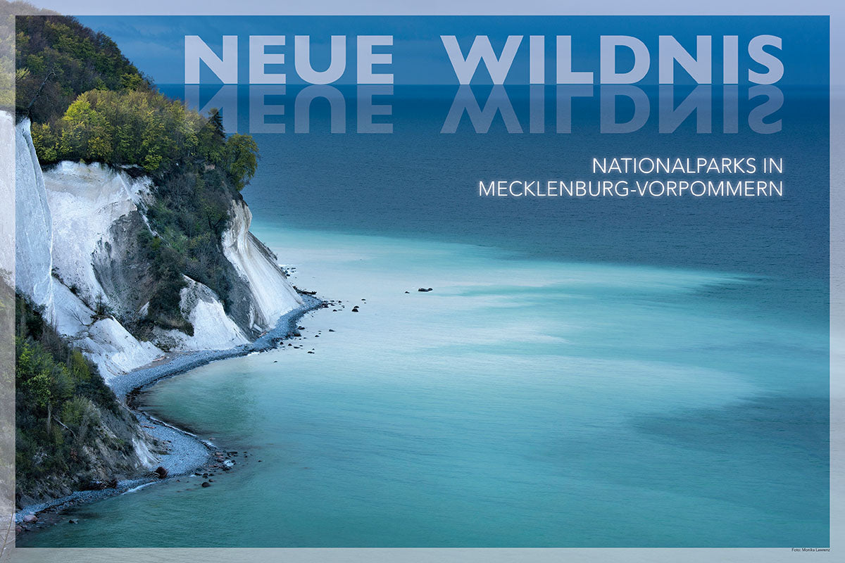 terra 2/2021 - Bild 6