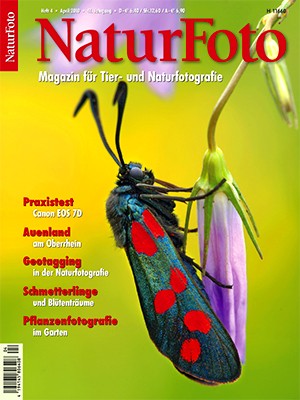 NaturFoto 4/2010