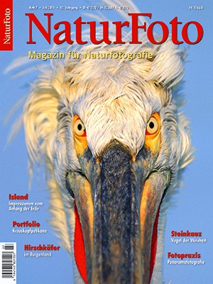 NaturFoto 7/2011