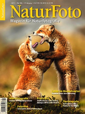 NaturFoto 5/2016