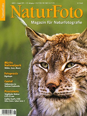 NaturFoto 8/2011