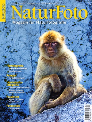 NaturFoto 4/2016