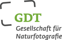 GDT