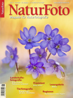 NaturFoto