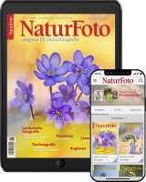 NaturFoto Abo Digital