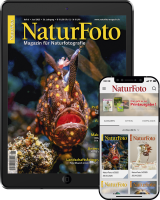 NaturFoto Abo digital