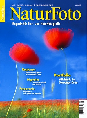 NaturFoto 4/2007