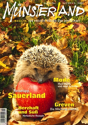 MÜNSTERLAND Magazin 3/2013