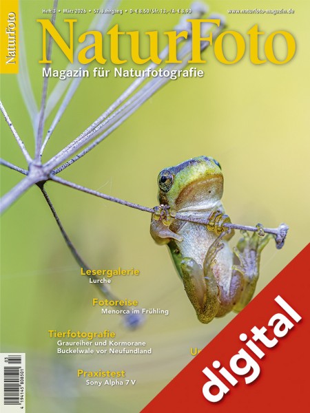 NaturFoto 3/2026 digital