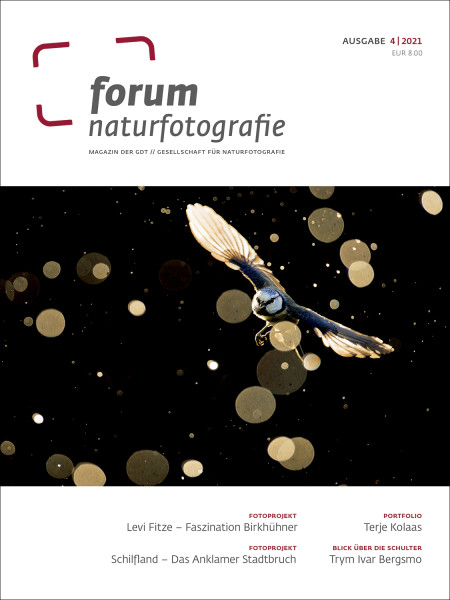 forum naturfotografie 4/2021