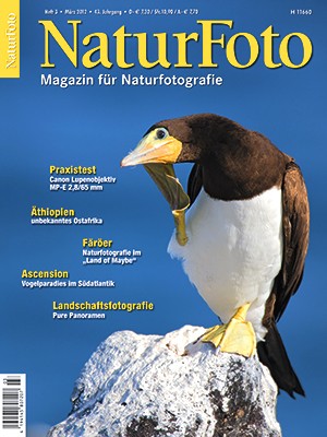 NaturFoto 3/2012