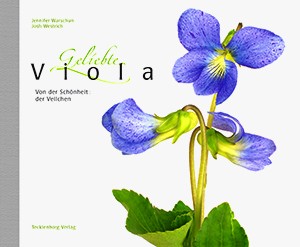 Geliebte Viola