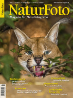 NaturFoto 7/2023 NaturFoto 7/2023