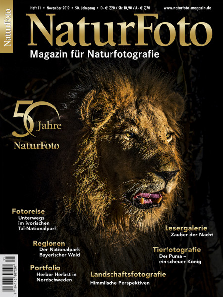 NaturFoto 11/2019