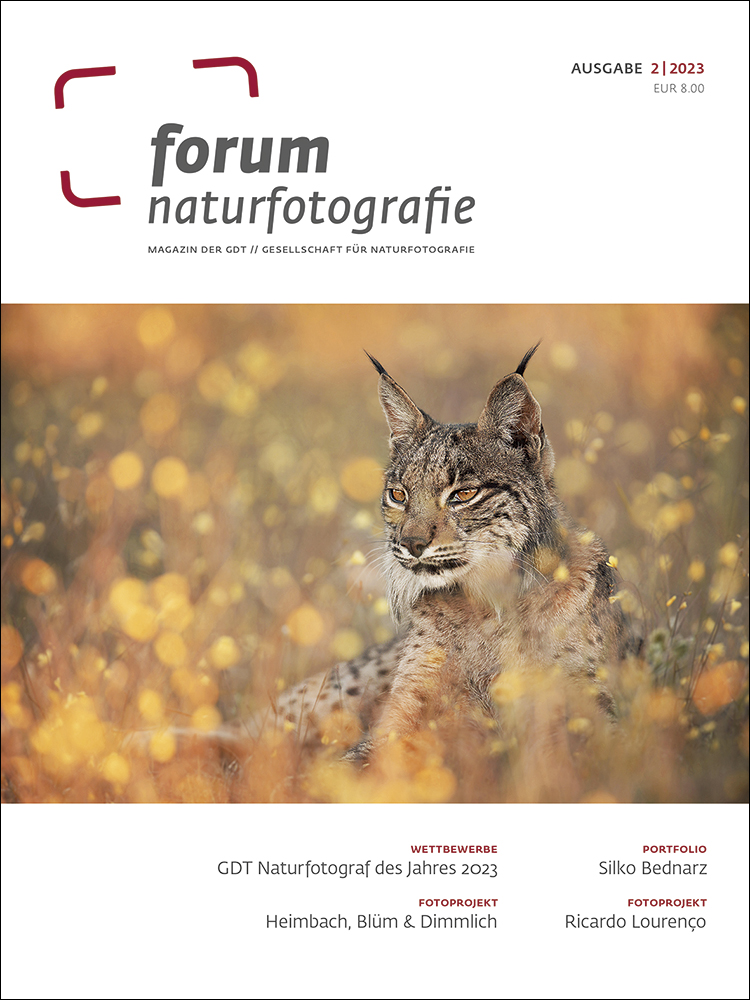 forum naturfotografie 2/2023 forum naturfotografie Magazine