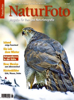 NaturFoto 1/2010