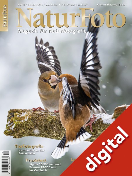 NaturFoto 12/2025 digital