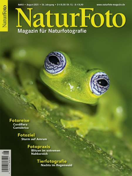 NaturFoto 8/2025