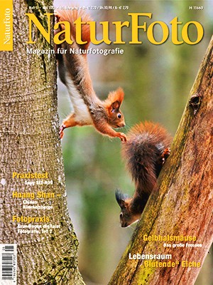 NaturFoto 5/2013