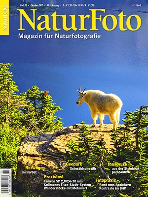 NaturFoto 10/2012
