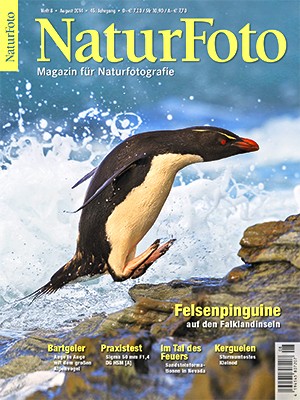 NaturFoto 8/2014