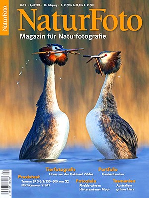 NaturFoto 4/2017