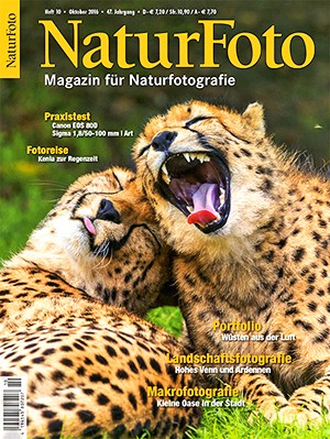 NaturFoto 10/2016