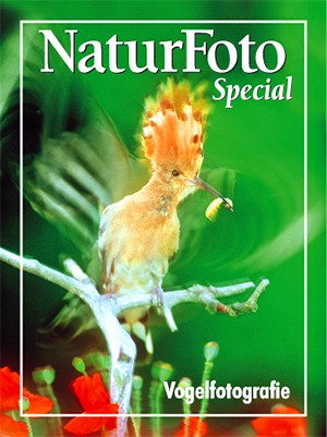 Vogelfotografie