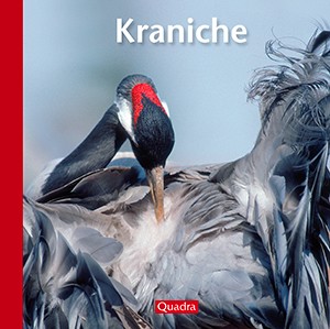 Kraniche