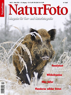 NaturFoto 3/2010