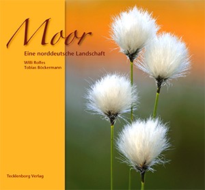 Moor