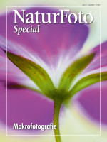 Makrofotografie (NEU 2019) Makrofotografie (NEU 2019)