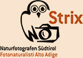 Strix Naturfotografen Südtirol