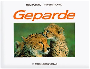Geparde