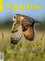 NaturFoto 6/2020 NaturFoto 6/2020