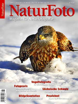 NaturFoto 1/2012