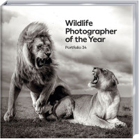 Portfolio 34 Portfolio 34