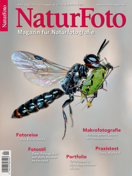 NaturFoto 4/2019