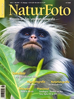 NaturFoto 5/2010