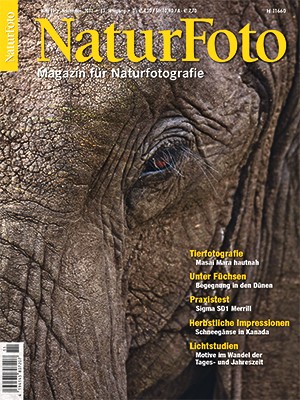 NaturFoto 11/2012