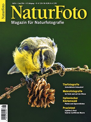 NaturFoto 6/2016