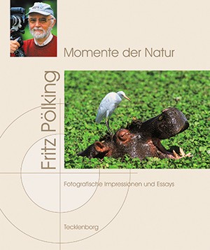 Momente der Natur