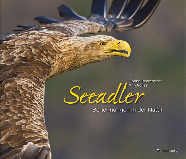 Seeadler