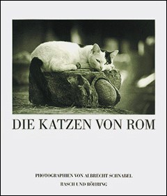 DIE KATZEN VON ROM