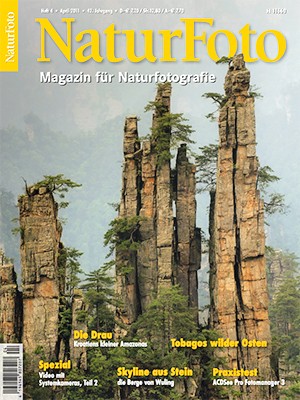 NaturFoto 4/2011