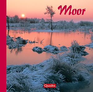 Moor – Edition Quadra