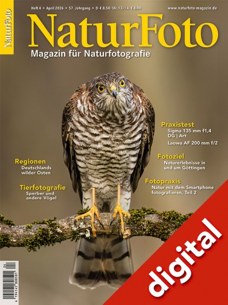 NaturFoto 4/2026 digital
